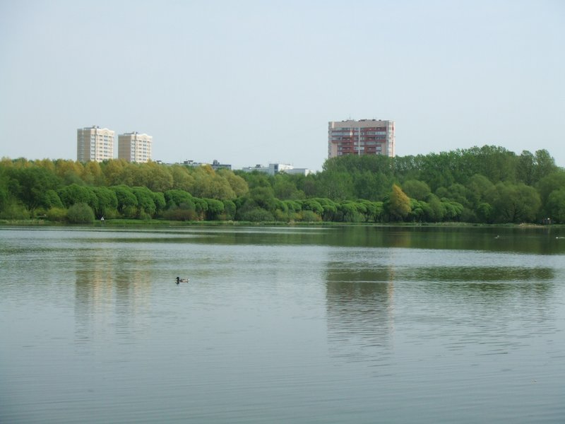 Пруд в парке "Покровское-Гл
