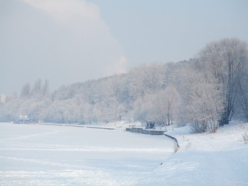 Зима в Филёвском парке (парк &qu