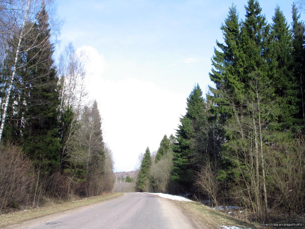 road_forest_1.jpg
