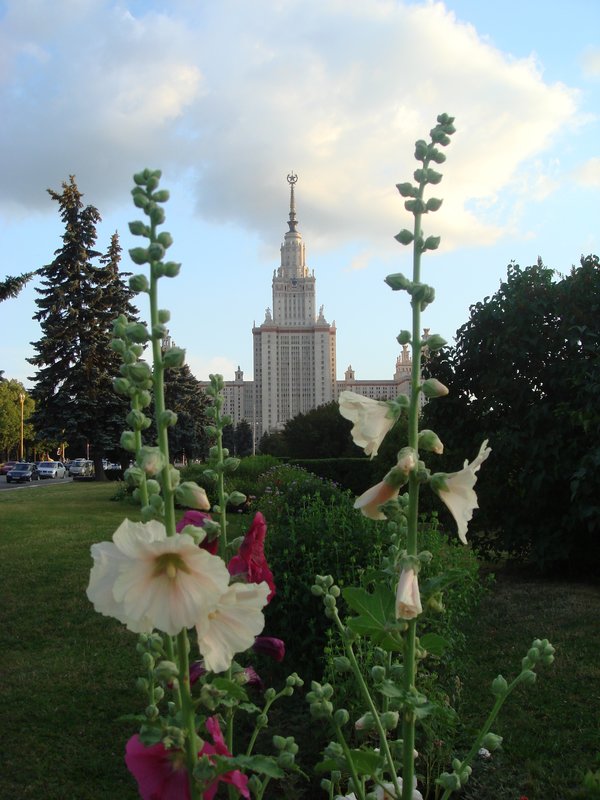 Moscow State University in Sprin