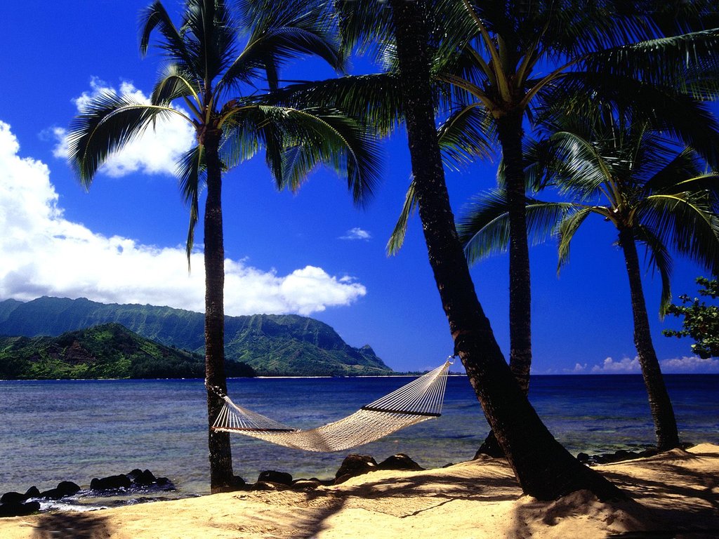 afternoon_nap,_kauai,_hawaii.jpg