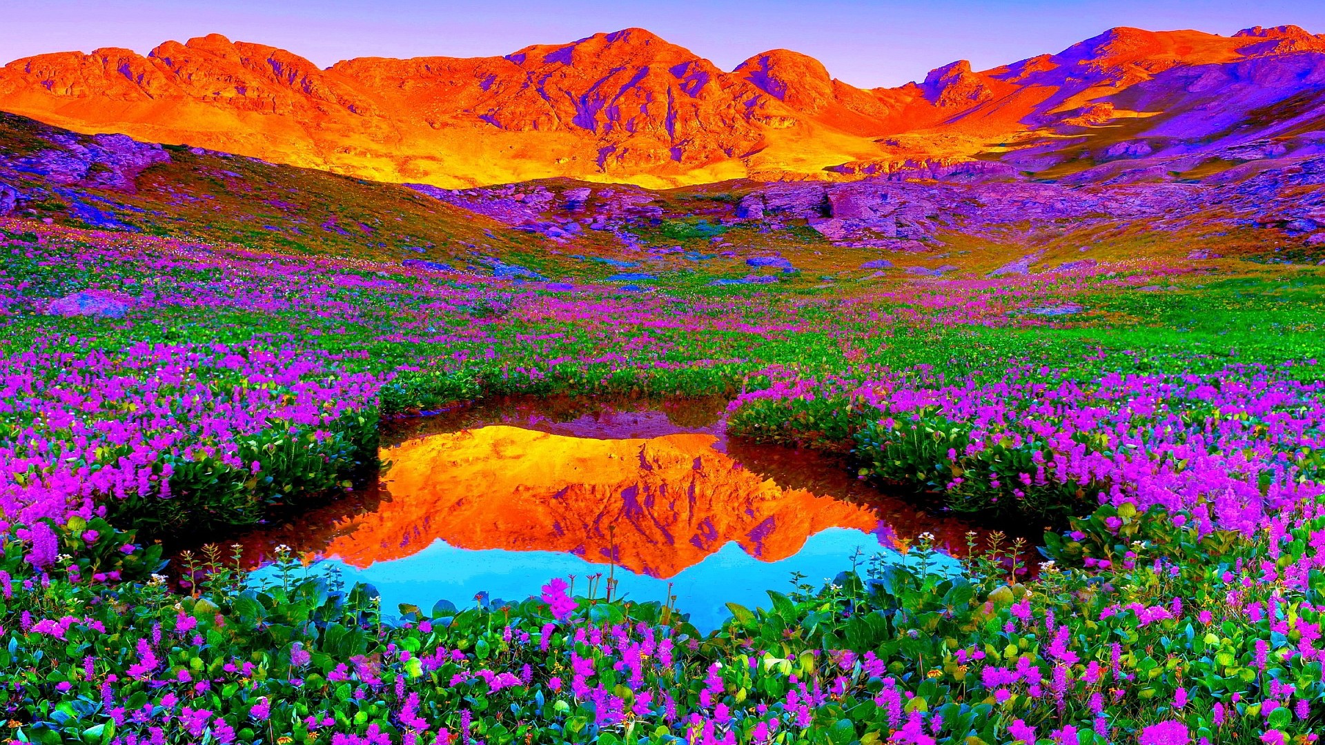 brilliant-colors-of-nature-hd-wa