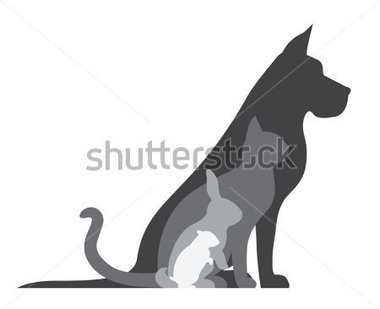 composition-of-animal-silhouette