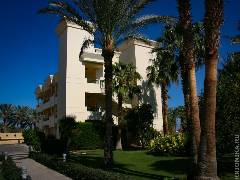 ЕГИПЕТ 2012 (Hilton Hurghada Resort) (62).jpg