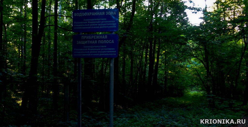 тимирязевский парк (2).jpg