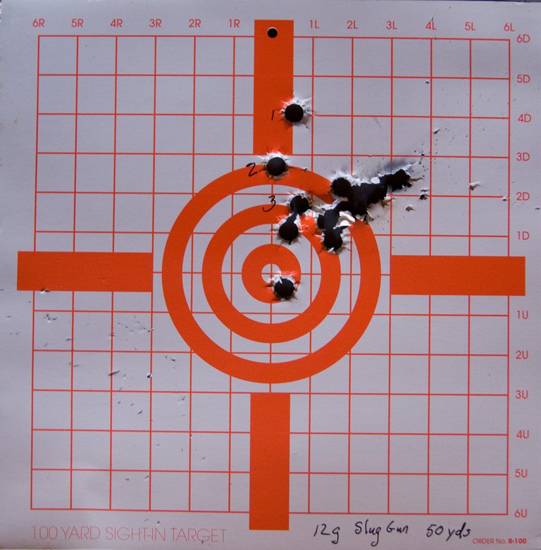 01 Slug gun results DSC06972_edi