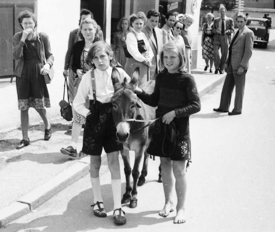 Germany1950s_donkey.jpg