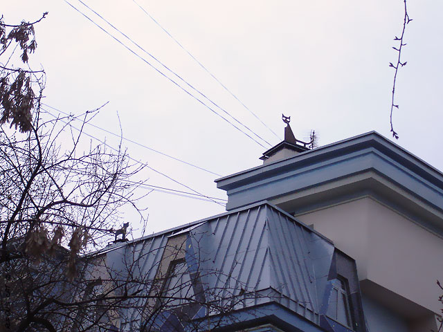 кот на крыше