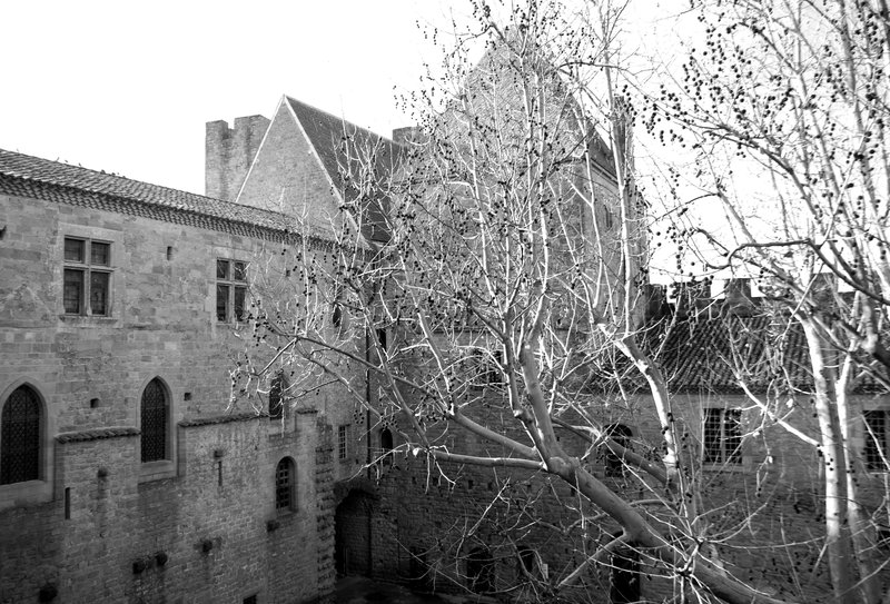 Carcassonne_011.jpg
