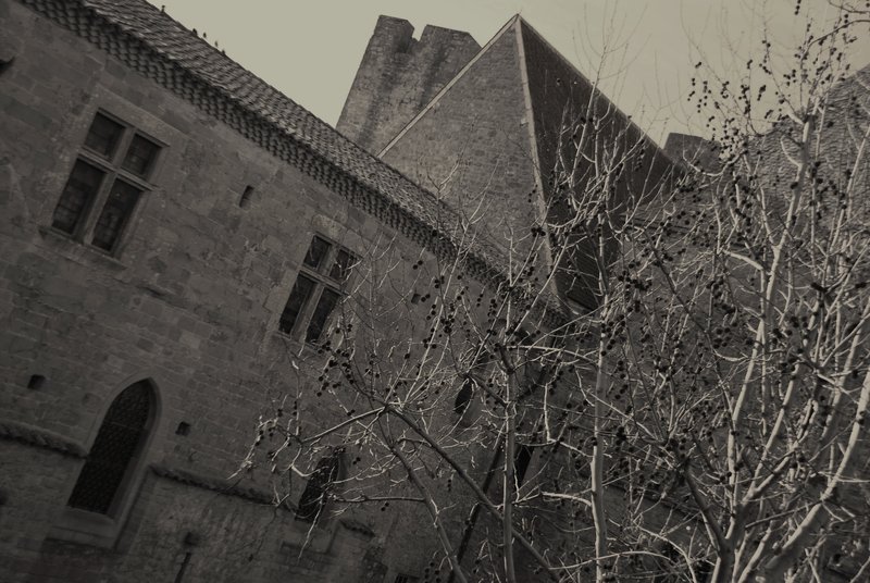 Carcassonne_013.jpg