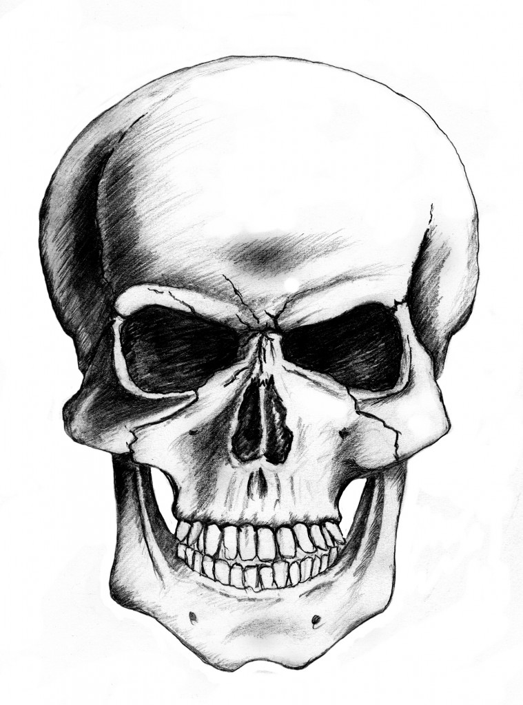 skull-sketch14.jpg