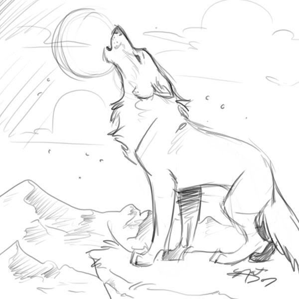 WolfSketch.jpg