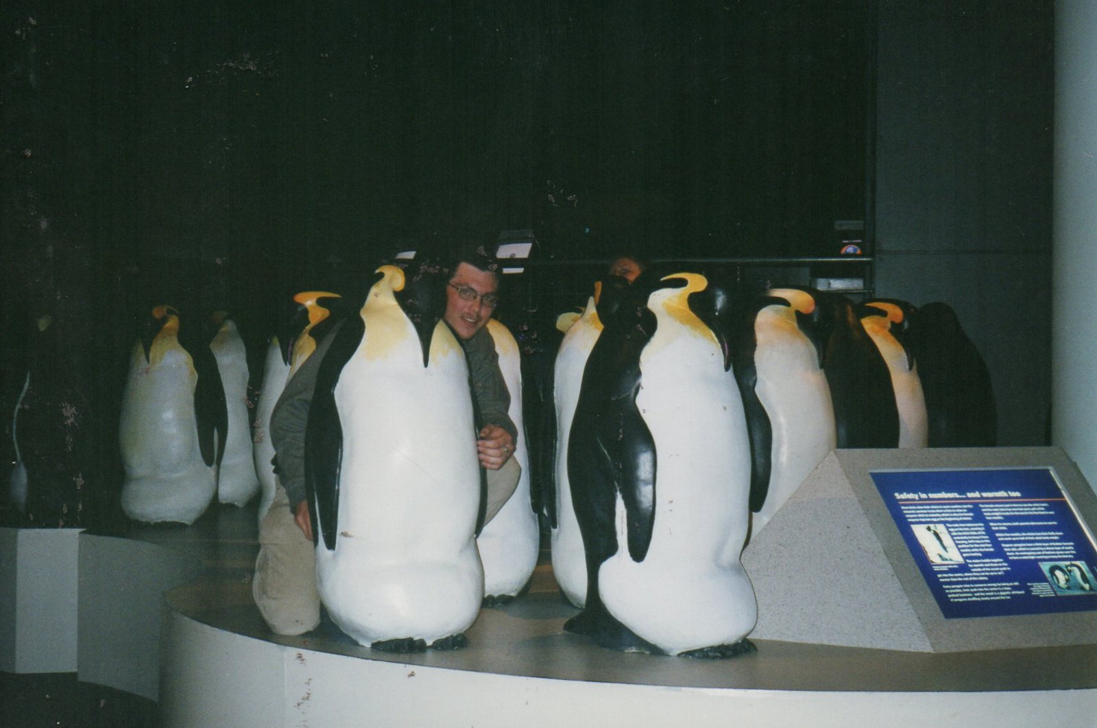 26 Christopher Wright in the penguins at antarctica.jpg