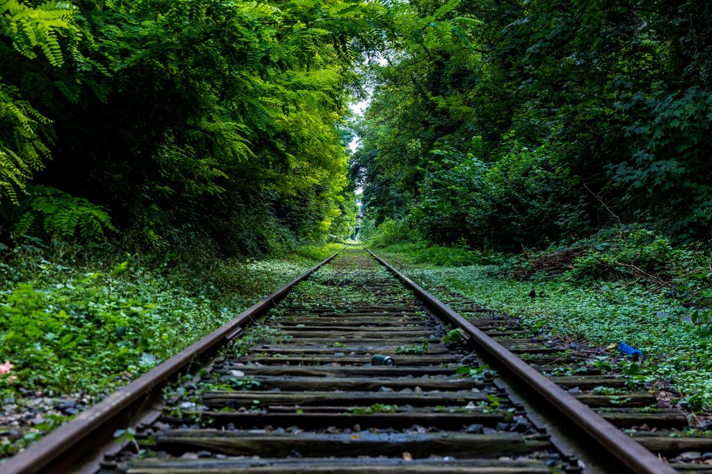 nature-forest-industry-rails.jpg