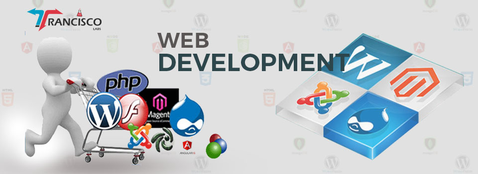 Custom-web-development.jpg