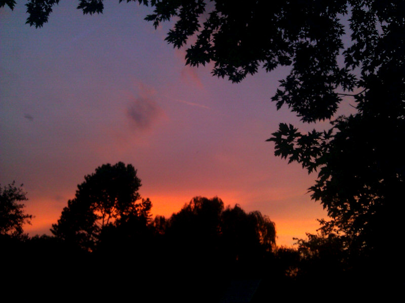 Sunset 1.jpg