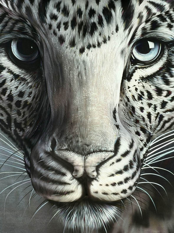 Leopard-Optical-Illusion.jpg