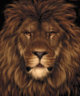 lionmouse-illusion1.jpg