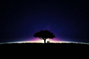 night-grass-sky-stars-trees-boy-