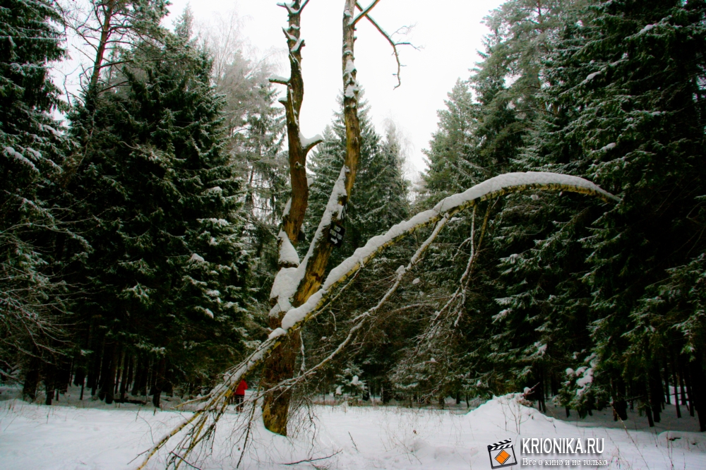 Опалиха - зимний лес 2013 (14).j