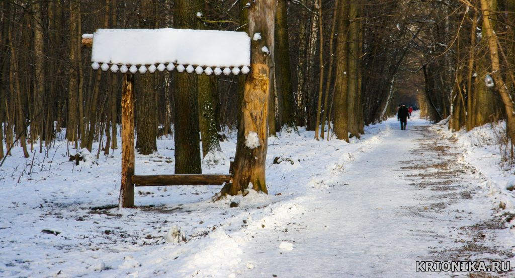 Тимирязевскй парк зимой.jpg