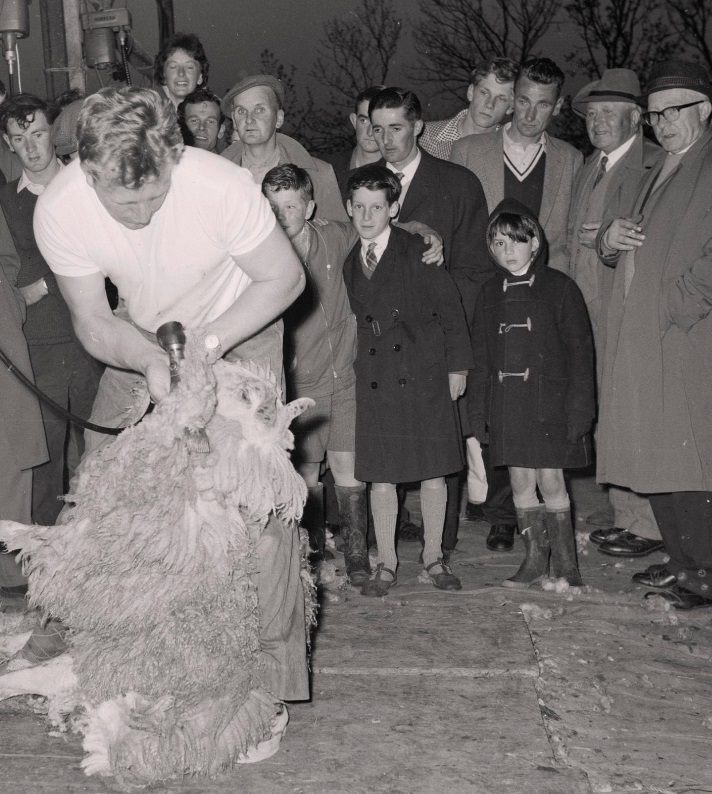 UK1964_IoM_sheepshearing.jpg