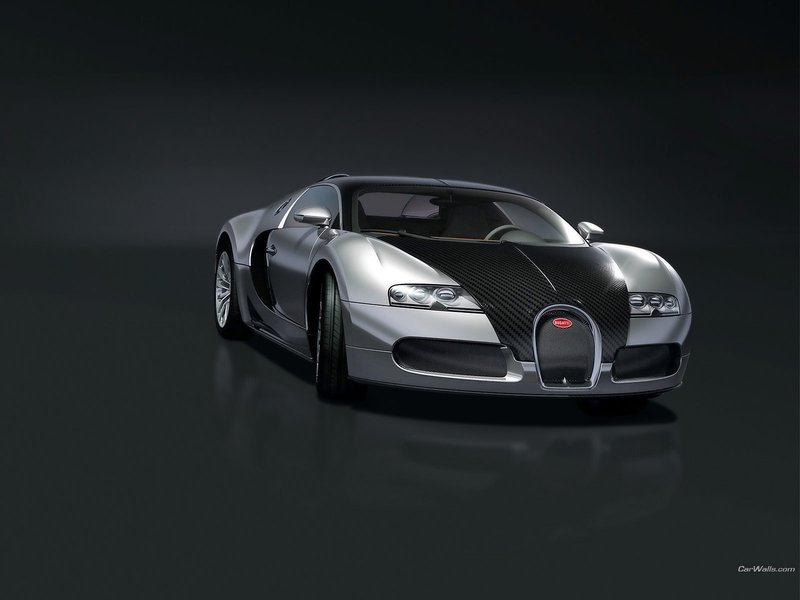 Bugatti_veryon-pur-sang_35_1600x