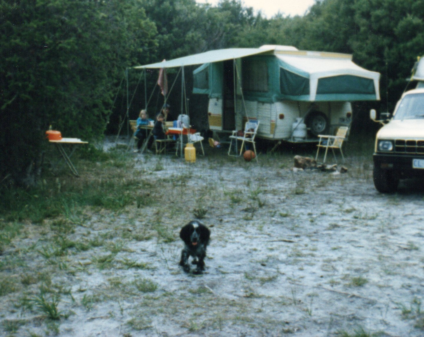 24 Patch the dog camping at muscleroe bay.jpg