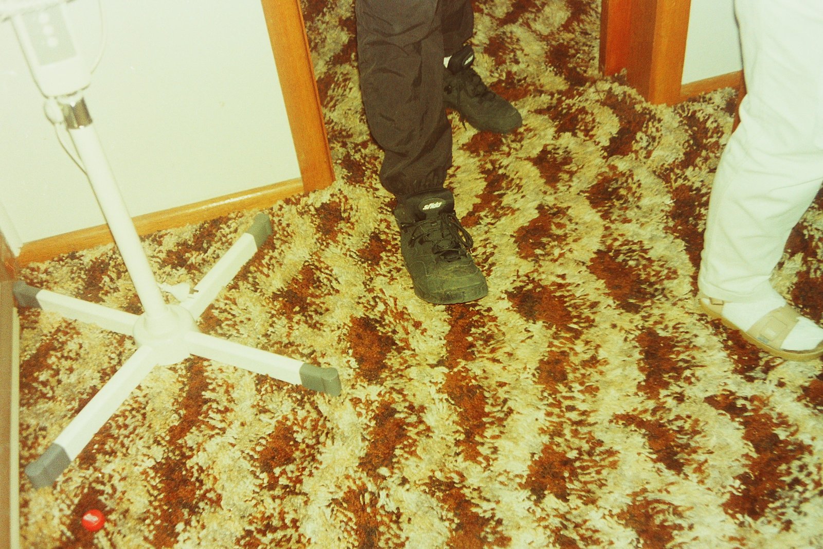 02 Carpet.JPG