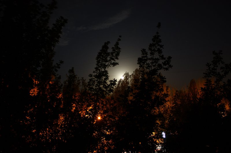 night_landscape_3.jpg